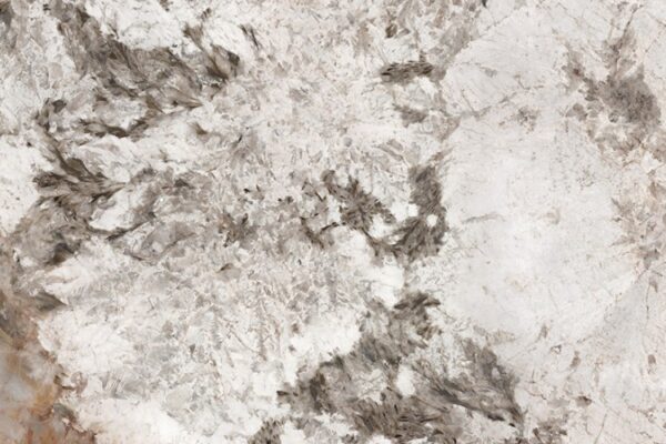 a9d61ffc-8e16-11eb-80f2-d094661ebf6a_a627ec8e-a340-11eb-80f4-d094661ebf6a